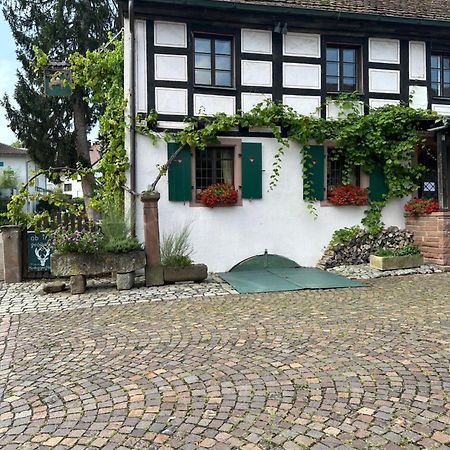 Exklusive Maisonette-Wohnung Am Rande Von Freiburg Merzhausen Εξωτερικό φωτογραφία