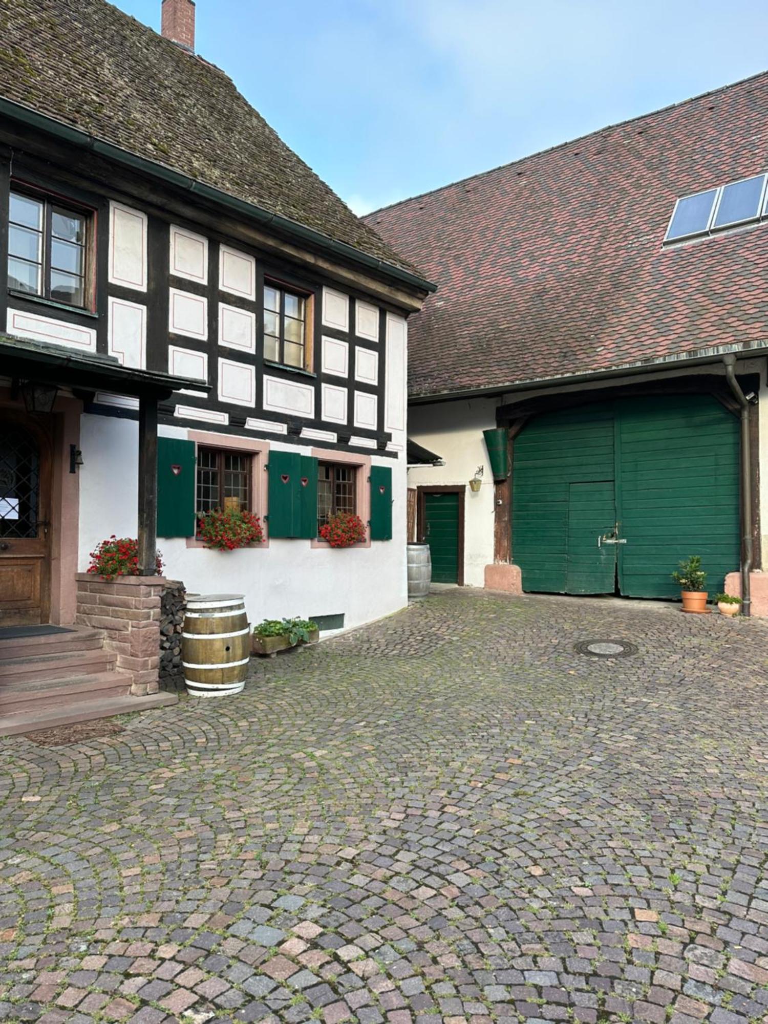 Exklusive Maisonette-Wohnung Am Rande Von Freiburg Merzhausen Εξωτερικό φωτογραφία