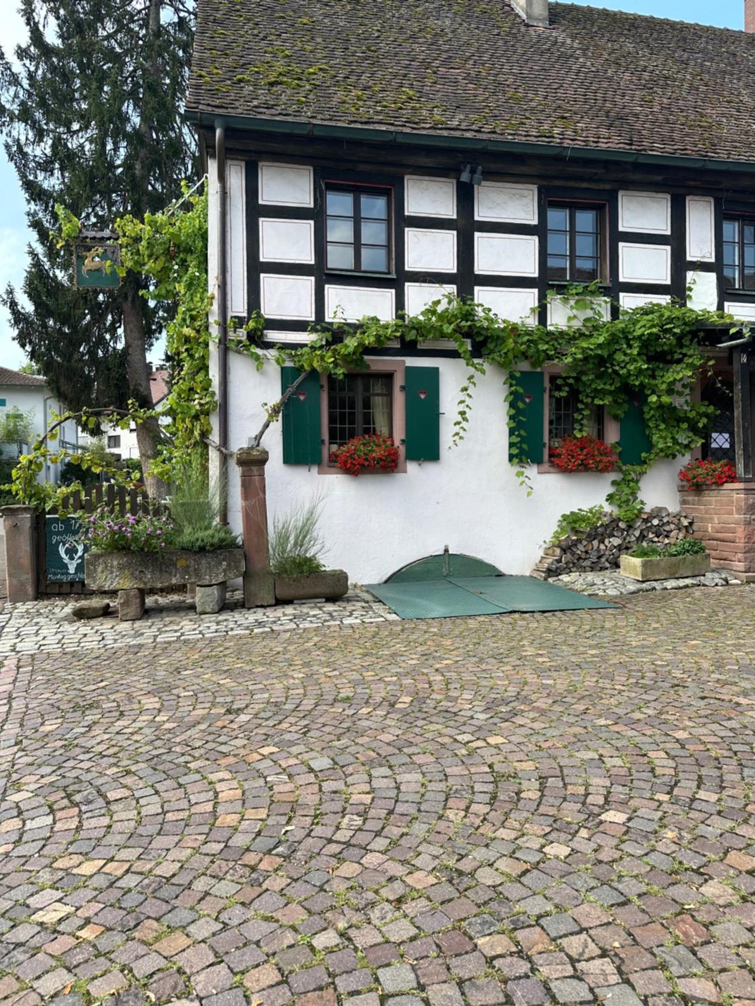 Exklusive Maisonette-Wohnung Am Rande Von Freiburg Merzhausen Εξωτερικό φωτογραφία
